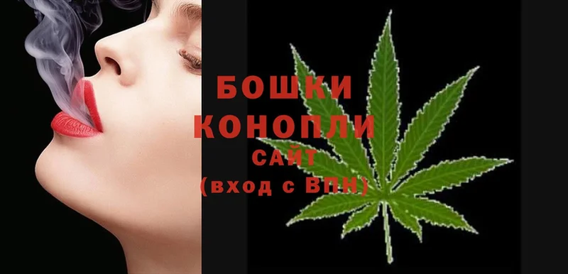 Канабис OG Kush  Андреаполь 